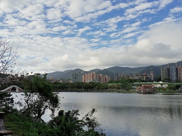 大湖公園 (防災公園)、湖山六號公園【走路趣尋寶】