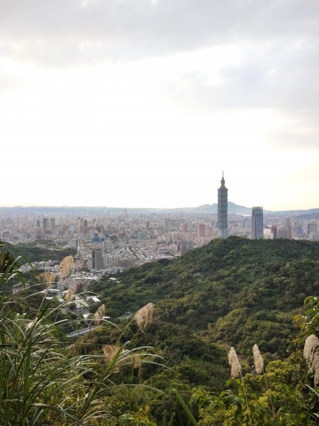 南港山縱走親山步道(拇指山、南港山、象山、九五峰)1679334