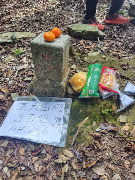 多納六秀 京大山2957598