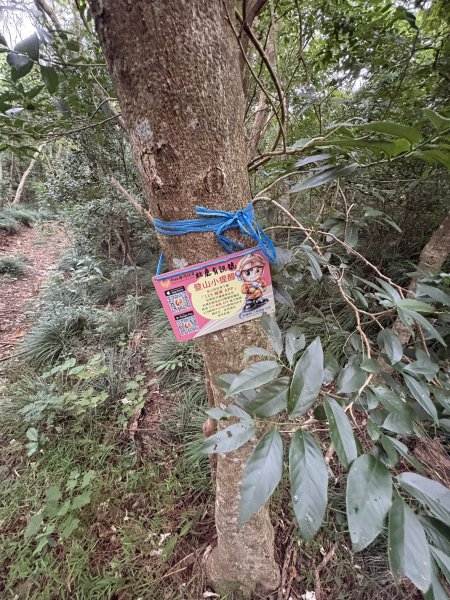 20251129女仍山步道2951774