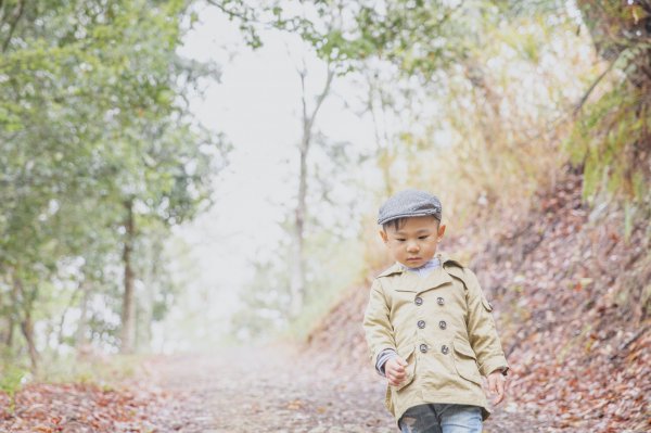 20200310-司馬庫斯神木群步道914325