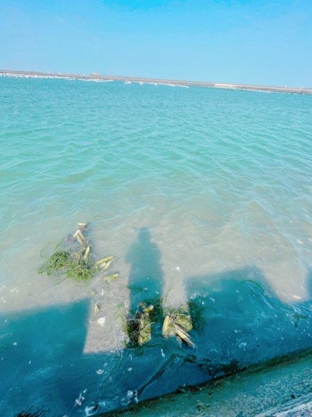 【嘉義】白水湖壽島1689729