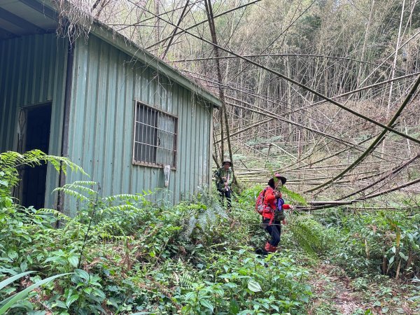 奮太、奮瑞古道上雲戴山續走幼葉林山2493010