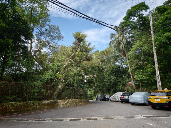 [淡蘭古道] 2026_0523 南路第一段_土地公嶺古道3069430