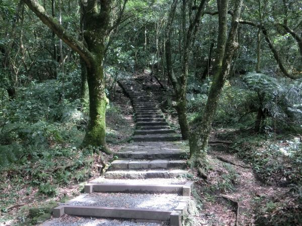 苗圃．七星公園．夢幻湖．冷水坑269422