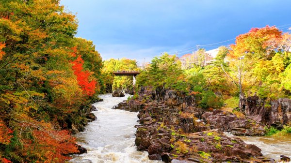 岩手縣嚴美溪2930223