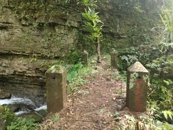 坪林區九芎坑古道+九芎坑圳沽古道+大舌湖山大小O型2845676