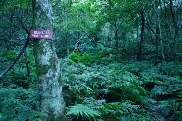 新竹 尖石 貴妃山、那結山2913592