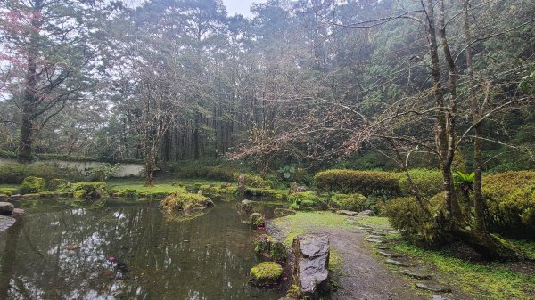 2025-0221 明池步道2718244