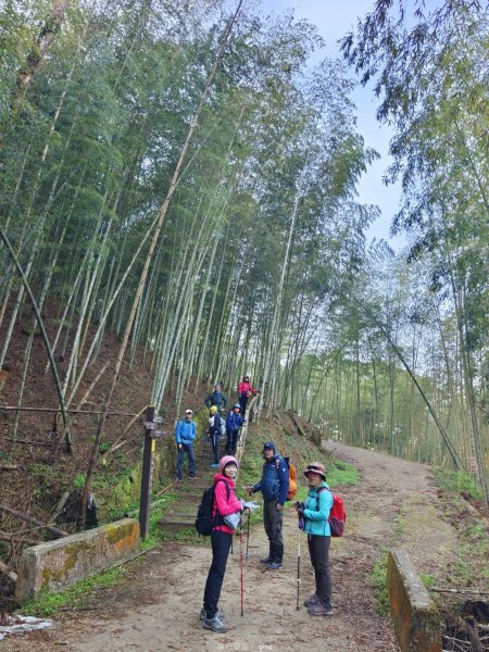 【雲林古坑】舒適宜人。 石壁山連走好望角嘉南雲峰2755250