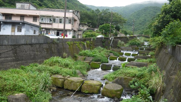 金字碑古道登山健行趣(淡蘭北路TK1-13)1809936