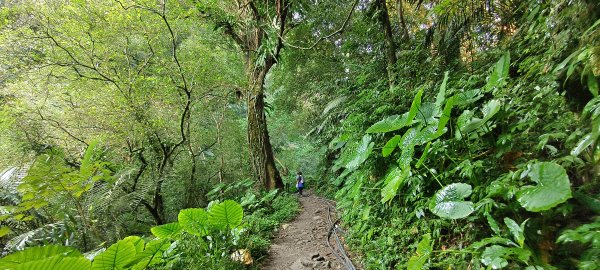 2026/02/21-馬胎古道（含二期）3005116