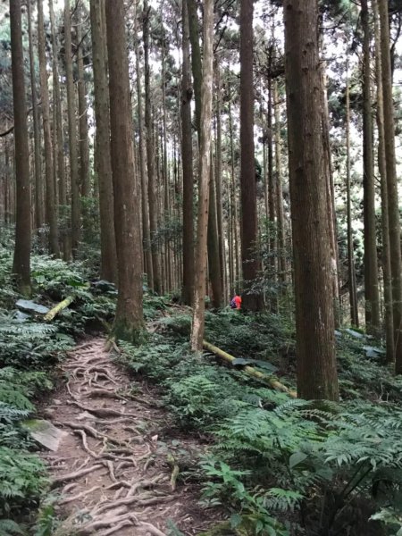 加里山鹿野線461349