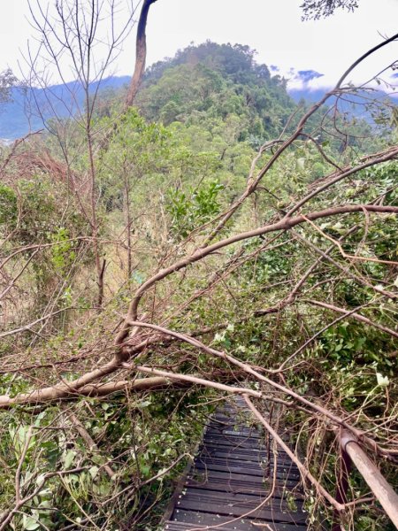 災後紅河谷越嶺小獅山仙跡岩觀音山路況2641459