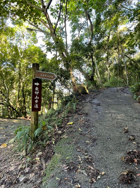 東卯山1750886