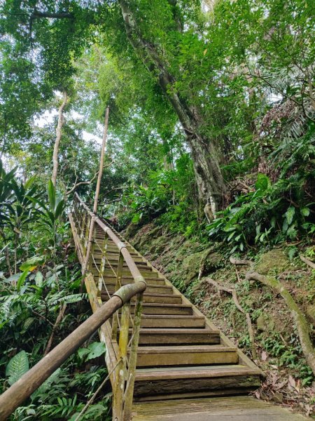 新店到貓空10K（台北天際線1部份路段）2993608