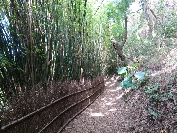 橫嶺古道-湖山國小步道774490