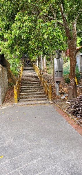 一日2座小百岳仙山、關刀山外加獅潭仙草秘境2082372