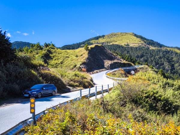 2025-11-07 合歡北峰、小溪營地、鷹石尖、北峰名樹2934325