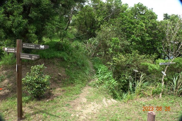 基隆 頂寮山、龍門山、五分山、頂子寮山2265958