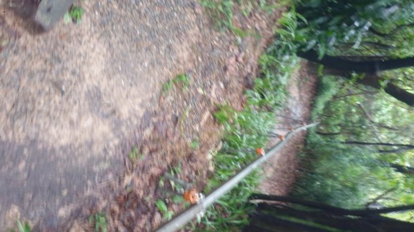 收集小百岳-劍潭山1439709