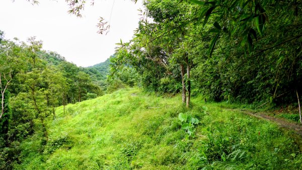 三貂嶺瀑布群,野人谷瀑布群2832471