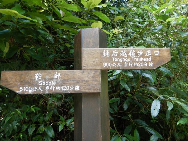 1090711桶后越嶺步道3098117