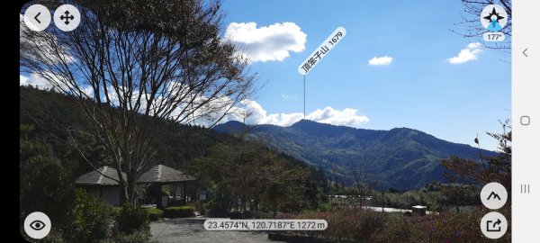 《嘉義》靜謐森林｜迷糊步道+福山古道202101231245477