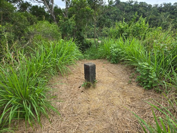 大社觀音山十三連峰環形2924403