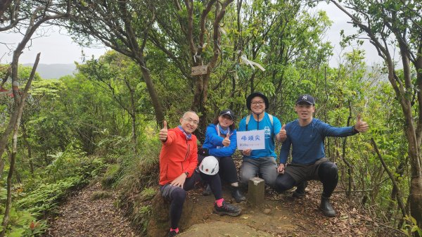 峰頭尖~峰頭尖東峰2761346