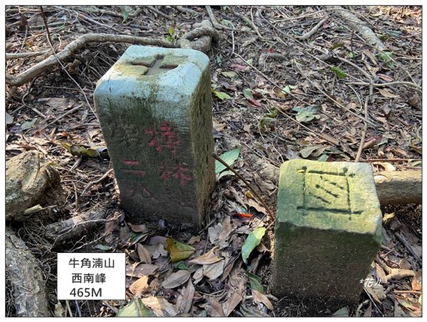 頭寮山、內湳溝山、牛角湳西南峰O型連走2738976