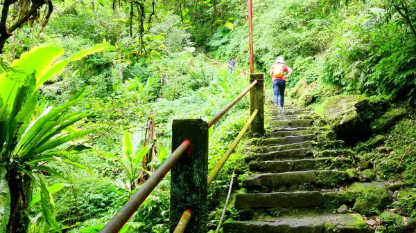微笑山線銀河洞越嶺段2852819