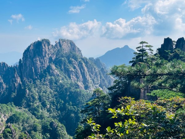 1140915-17安徽省黃山2891416