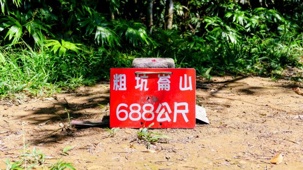 黃櫸皮寮山2898308