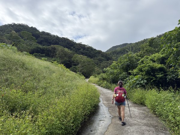 金瀧多越嶺古道巡禮(金崙-瀧山-多良)3118792