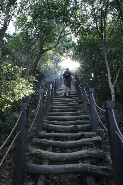 台中大坑迷蹤記(上)-1號步道