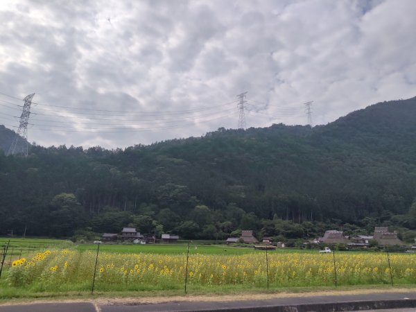 京都府美山合掌村3088145