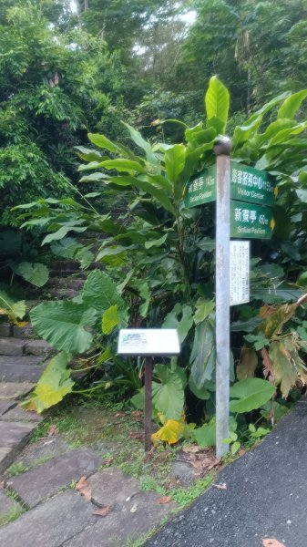 仁山植物園1747597