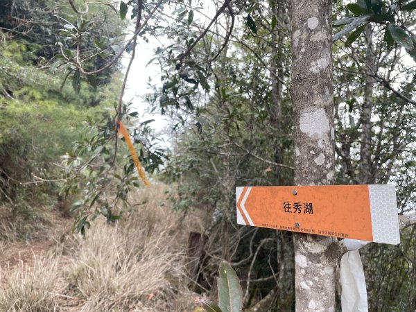 石山秀湖 2025 02/28 三天兩夜2865959