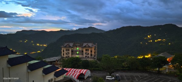 #豔紅鹿子百合 #大鳳蝶（有尾型雌） 8/173108431