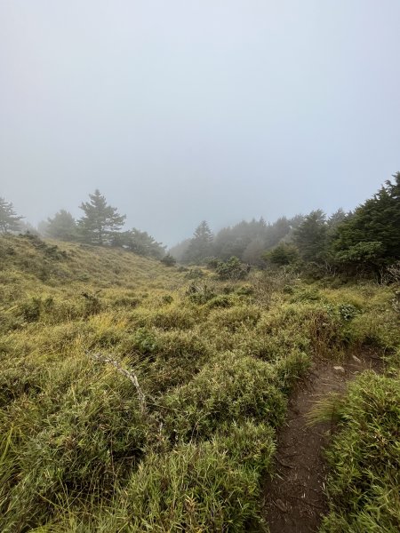 小關山林道神池營地202310222326130