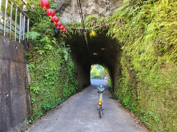 20250629 youbike 木柵 ~ 十分2907229