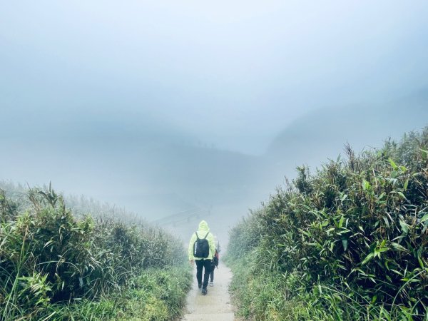 20250329 抹茶山-聖母登山步道2758939