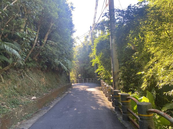 【四獸山 Short】虎豹象先行！獅山封閉中，等新步道開箱再相見2888834