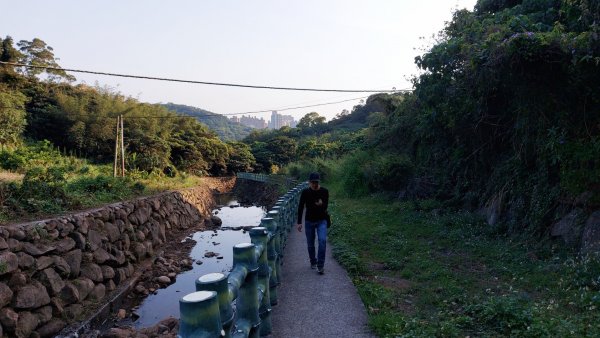 樹梅坑登山步道 楓丹白露步道  忠義山  妙覺寺  嘎嘮別山2092603