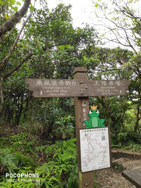 20210320_南港土庫岳+內湖大崙頭山+士林劍潭山1347651