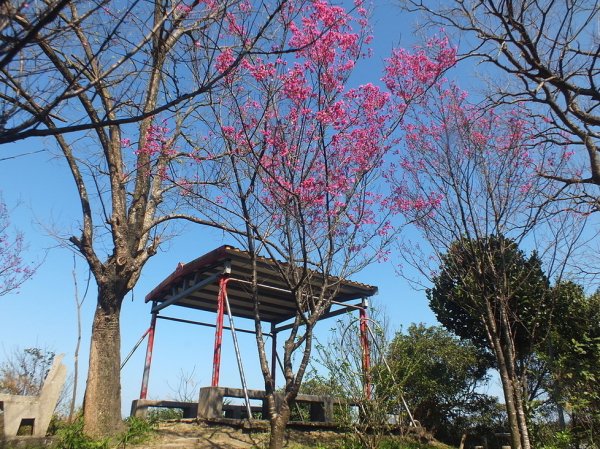 【新北市】小南港山(橫科山)、白匏湖、白雲古道