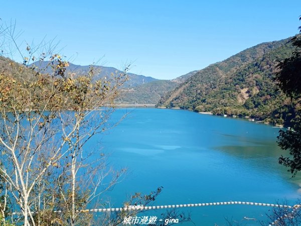 【南投仁愛】光影下的森林療育。 奧萬大國家森林遊樂區步道群2973141