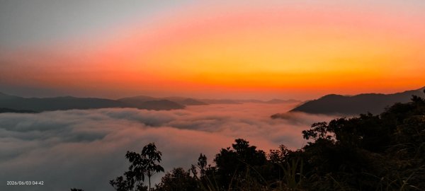 #坪林 #火燒雲 #日出 #雲海 #觀音圈 #金山 #花鳥蝶 6/3&4&163068866
