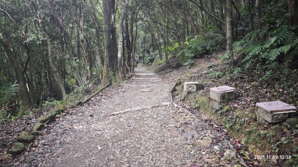20251109 士林站到大湖站(福山宮_腰繞_燕溪古道_翠山步道_龍船岩_大溝溪)2932349